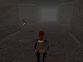 A valkyrja knight encounters a hostile adventurer in the Tunnels of Sethir